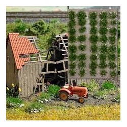 Grasbüschel mit Steinen Somme