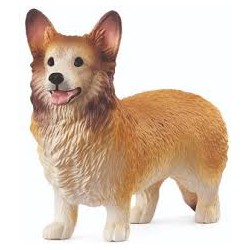 Welsh Corgi
