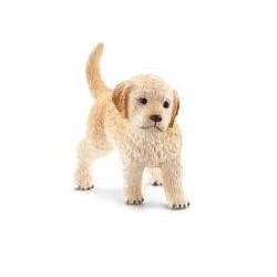 Golden Retriever Welpe