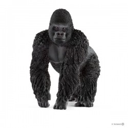 Gorilla Maennchen