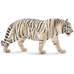 Tiger  weiss