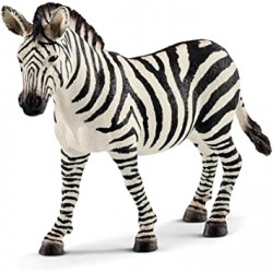 Zebra Stute