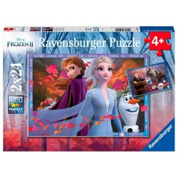 DFZ: Frozen 2          2 X 24