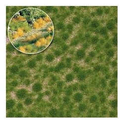 Grasbüschel kurzFrühling