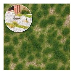 Grasbüschel lang Frühling