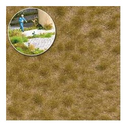 Grasbüschel lang Herbst