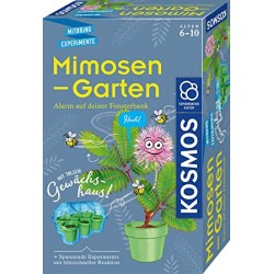 MimosenGarten
