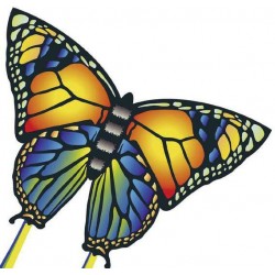 Drache Butterfly